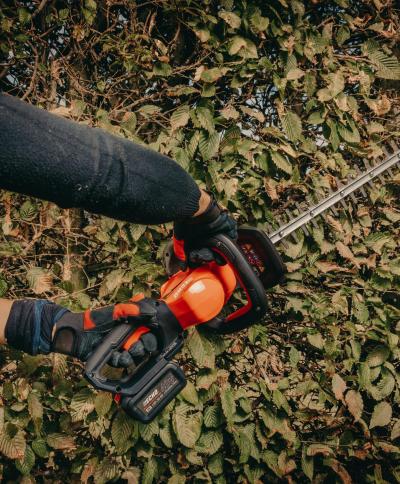 cordless-hedge-trimmer-dhc-310